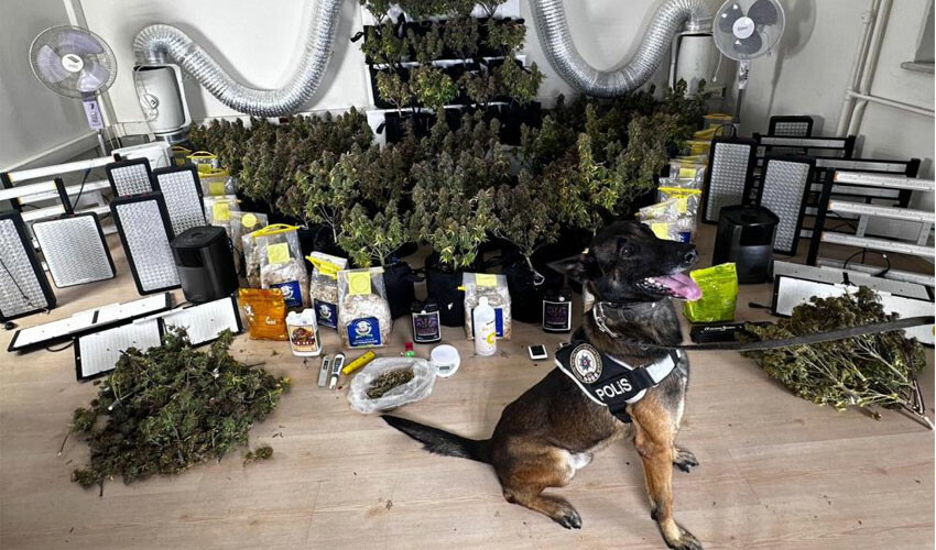 Villa değil, uyuşturucu yuvası