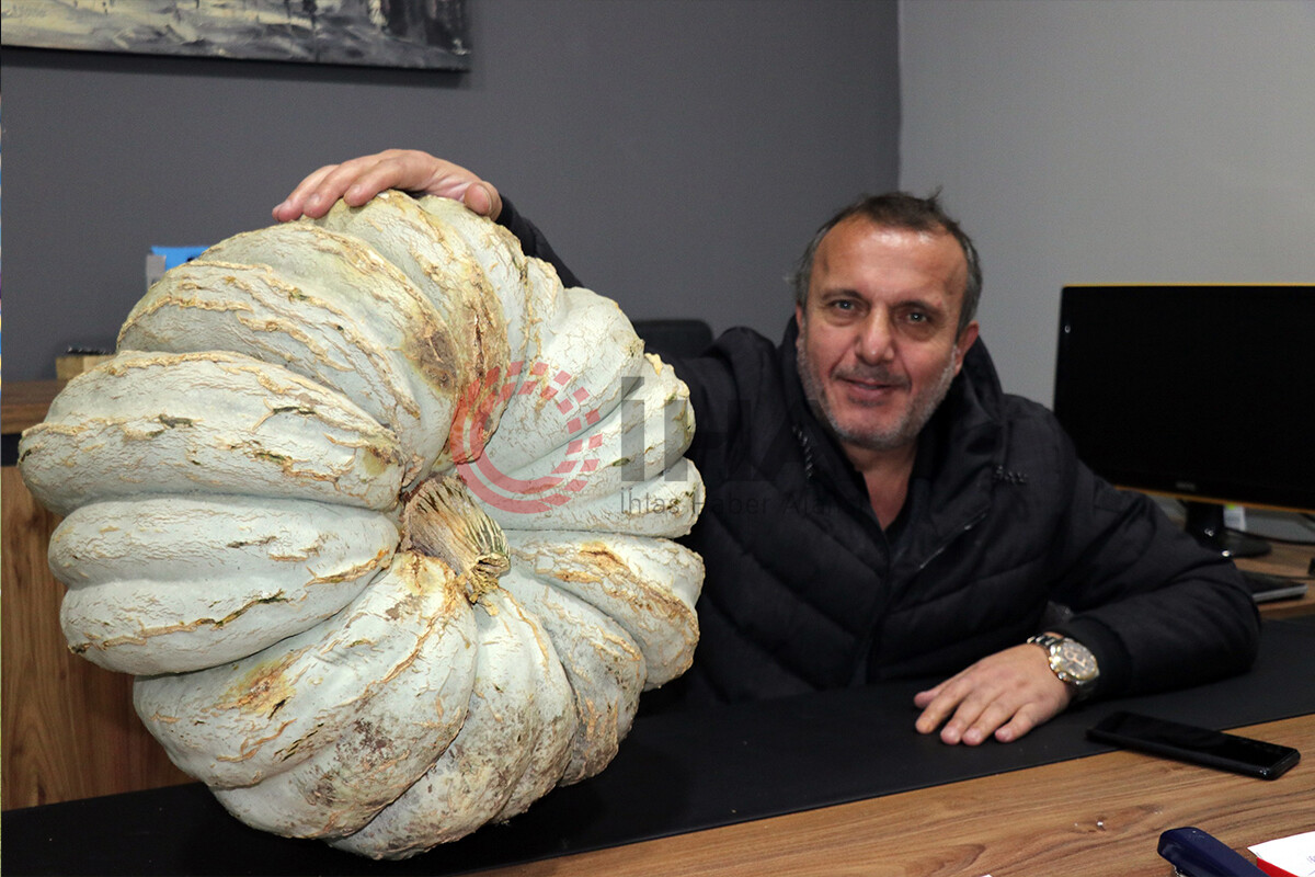 Gençlere örnek olmak için ekti! Toplamda 200 Bin TL gelir elde etti ve devamını getirecek - 2. Resim