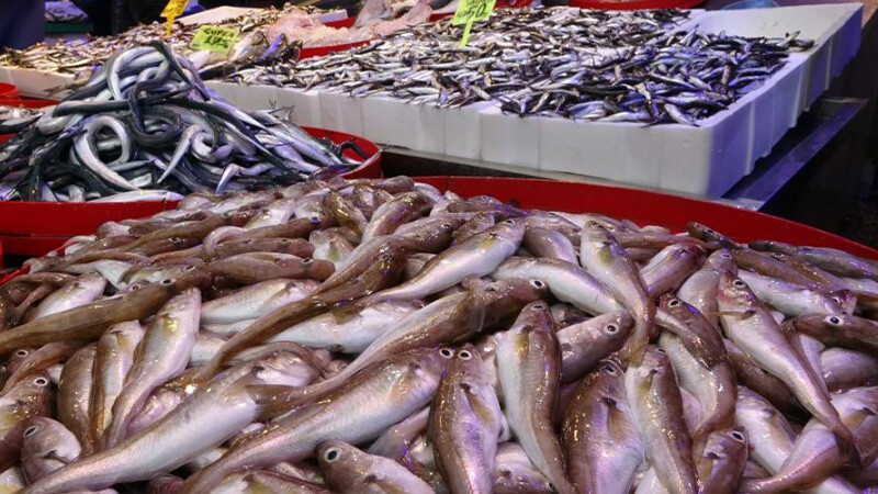 Tezgahta balık bereketi: Çeşit bol; hamsi, istavrit, mezgitte fiyatlar dibi gördü... balık