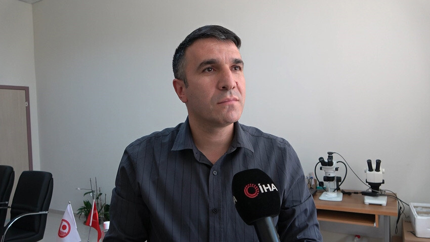 Türkiye'yi alarma geçiren 'dünyanın en zehirli örümceği'yle ilgili rahatlatan açıklama: Literatürde böyle bir bilgi yok... Dünyanın en zehirli örümcekleri arasında yer alan ve son günlerde Türkiye'nin birçok kentinde görüntülenen 'Argiope lobata' ile ilgili rahatlatan açıklama geldi.