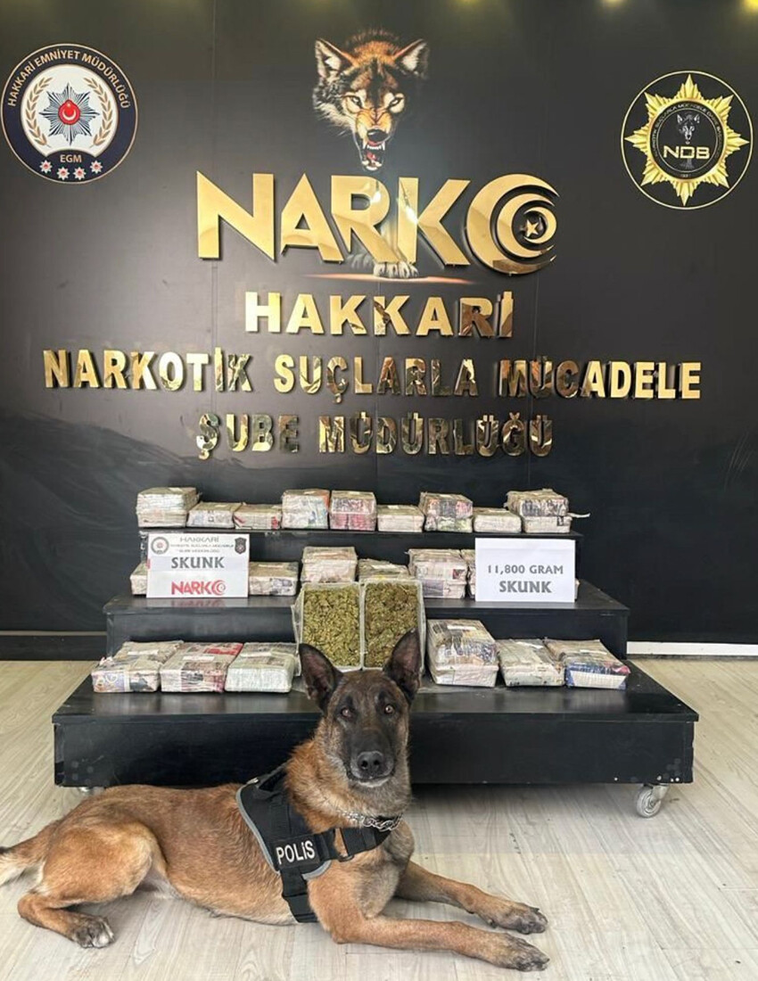 Son dakika: 16 ilde uyuşturucu tacirlerine büyük darbe: 99 kişi yakalandı