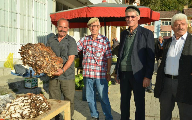 Gören dönüp bir kez daha bakıyor… Ormanda buldu, 1480 liradan satışa çıkardı!