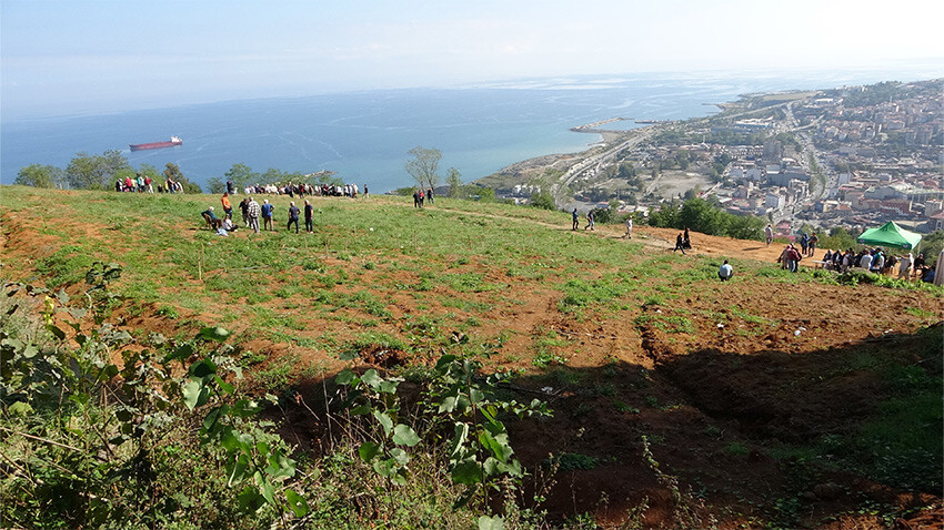 Deniz manzaralı mezar yeri için birbirine girdiler: Bir kişi fenalaşarak hastanelik oldu