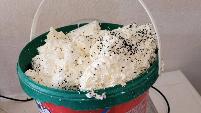 Peynir imalathanesinde mide bulandıran görüntüler! Bunları vatandaşa yediriyorlar Peynir imalathanesinde mide bulandıran görüntüler! Bunları vatandaşa yediriyorlar