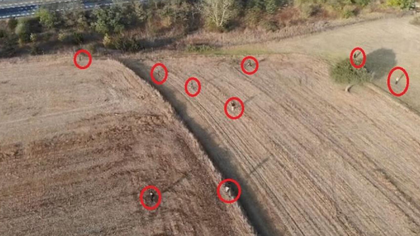 Operasyon saniye saniye dron kamerasında! Tarlada göçmen kovalamacası: 122 göçmen yakalandı Operasyon saniye saniye dron kamerasında! Tarlada göçmen kovalamacası: 122 göçmen yakalandı