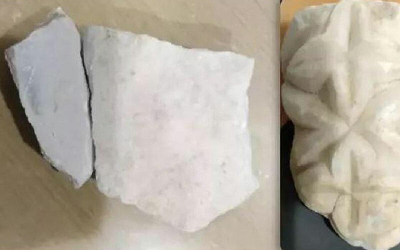 Tarihi kaçakçılık şüphesiyle gözaltına alınan Belçikalı turistlerden ilginç savunma: Akvaryum için topluyorduk!