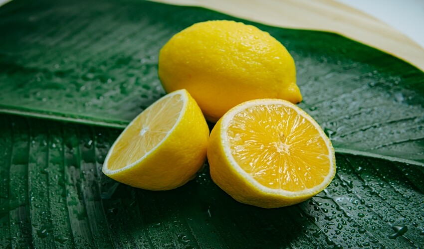 Limon reçeli nasıl yapılır? Reçel tarifleri arasında en iyisi, birçok kişi lezzetini bilmiyor Limon reçeli nasıl yapılır? Reçel tarifleri arasında en iyisi, birçok kişi lezzetini bilmiyor - 3. Resim