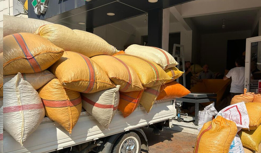 Üretici masraflar fazla dedi: Sezon bitti.. 20 gün içerisinde zam bekleniyor Üretici masraflar fazla dedi: Sezon bitti.. 20 gün içerisinde zam bekleniyor