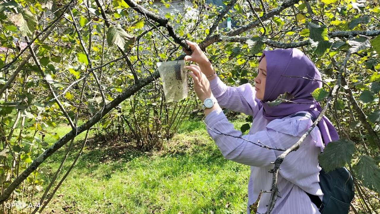 Bağı bahçesi olanlar dikkat! Girmedik delik bırakmıyor, çiftçiyi ciddi zarara uğratıyor