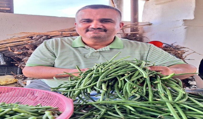 Pazarın yeni gözdesi.. Hem sağlıklı hem lezzetli:100 TL'ye satılıyor Pazarın yeni gözdesi.. Hem sağlıklı hem lezzetli:100 TL'ye satılıyor