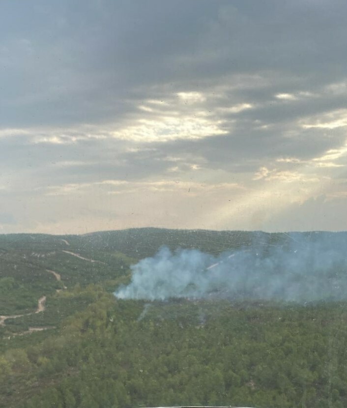 Yine orman yine yangın! 2,8 hektar alan zarar gördü Çanakkale- yangın- orman