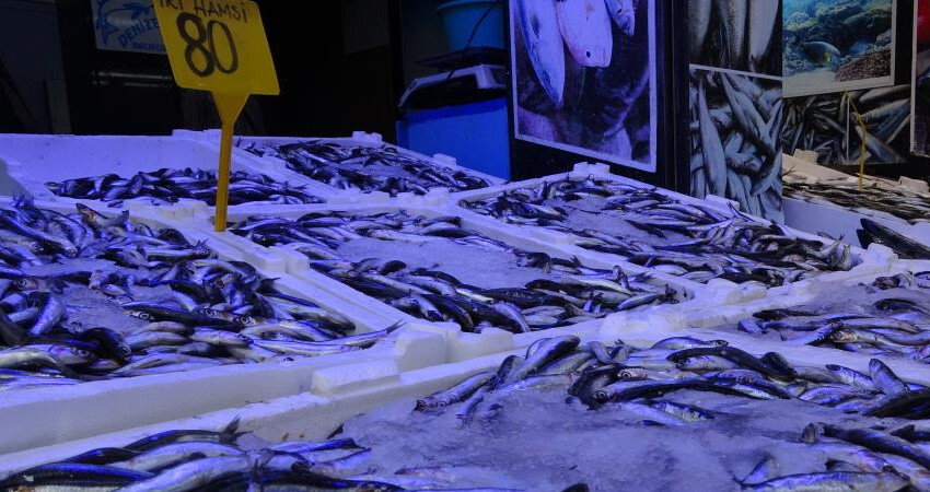 Hava muhafeleti hamsi fiyatlarını vurdu! 40 TL birden arttı, etiketler uçuşa geçti Hava muhafeleti hamsi fiyatlarını vurdu! 40 TL birden arttı, etiketler uçuşa geçti