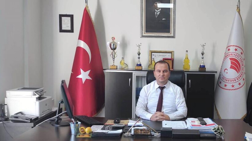 'Ölümsüz ağacın' başkentinde hasat başladı: Altından daha değerli... Üreticinin yüzü gülecek 'Ölümsüz ağacın' başkentinde hasat başladı: Altından daha değerli... Üreticinin yüzü gülecek - 7. Resim