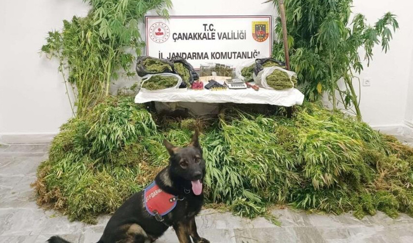 Uyuşturucu tacirlerine göz açtırılmıyor: 6 şahıs tutuklandı