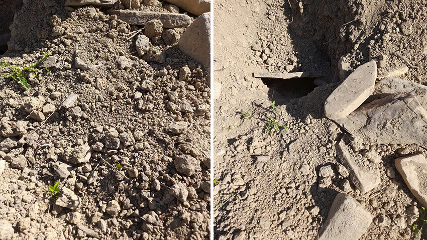 Ayının açtığı mezarı gören anne kendinden geçti: Gördükleri karşısında tüm köyü ayağa kaldırdı