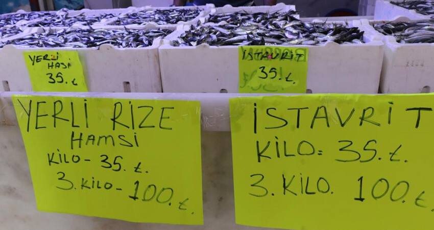 Soğuyan deniz suyu balık fiyatlarını aşağı çekti: 65 TL birden düştü, yüzler güldü Soğuyan deniz suyu balık fiyatlarını aşağı çekti: 65 TL birden düştü, yüzler güldü
