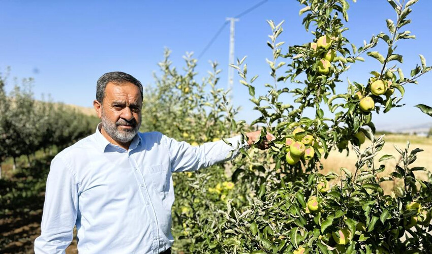 Tarlada 5, markette 30 lira! Hasat başladı, rekolte giderek düşüyor.. Sorun devam ederse kalanı da gidecek Tarlada 5, markette 30 lira! Hasat başladı, rekolte giderek düşüyor.. Sorun devam ederse kalanı da gidecek