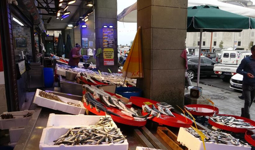 Kayıp balık bulundu! Tezgahlar zenginleşti: Fiyatı 150 TL Kayıp balık bulundu! Tezgahlar zenginleşti: Fiyatı 150 TL