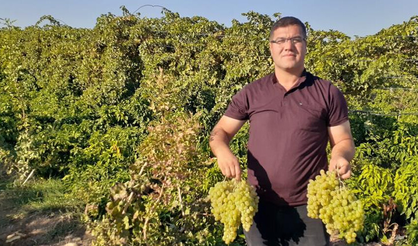 Modern tarım teknikleri kullandı! Üzüm, biber, Antep fıstığı.. 17 ayda tonlarca ürün elde etti Modern tarım teknikleri kullandı! Üzüm, biber, Antep fıstığı.. 17 ayda tonlarca ürün elde etti