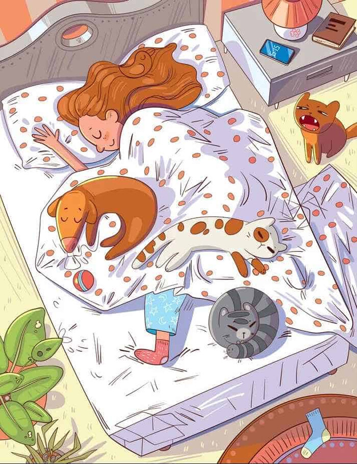 Odada saklanan kuş nerede? Zekasına güvenenler 8 saniyede buluyor