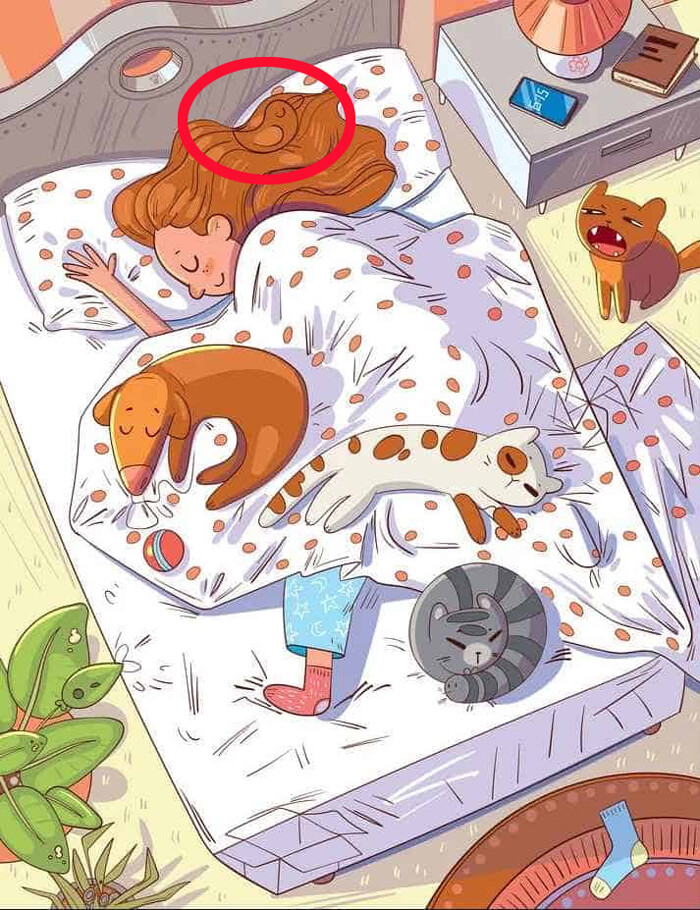 Odada saklanan kuş nerede? Zekasına güvenenler 8 saniyede buluyor