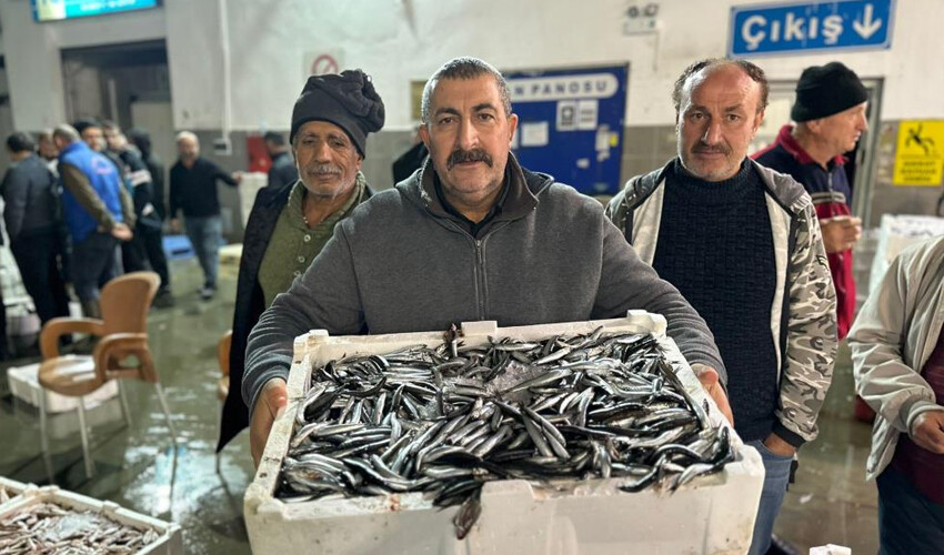 Vatandaş balığa doyacak! Kasa kasa satılıyor: Tezgahlardan daha ucuz Vatandaş balığa doyacak! Kasa kasa satılıyor: Tezgahlardan daha ucuz