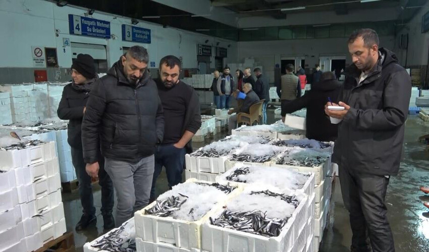 Vatandaş balığa doyacak! Kasa kasa satılıyor: Tezgahlardan daha ucuz Vatandaş balığa doyacak! Kasa kasa satılıyor: Tezgahlardan daha ucuz