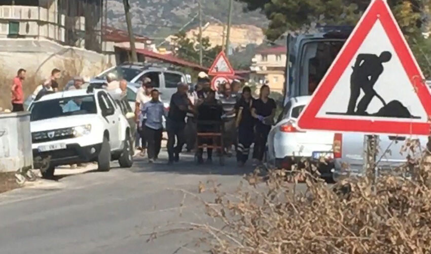 Dehşet veren ölüm: Arı saldırısına uğradı Dehşet veren ölüm: Arı saldırısına uğradı