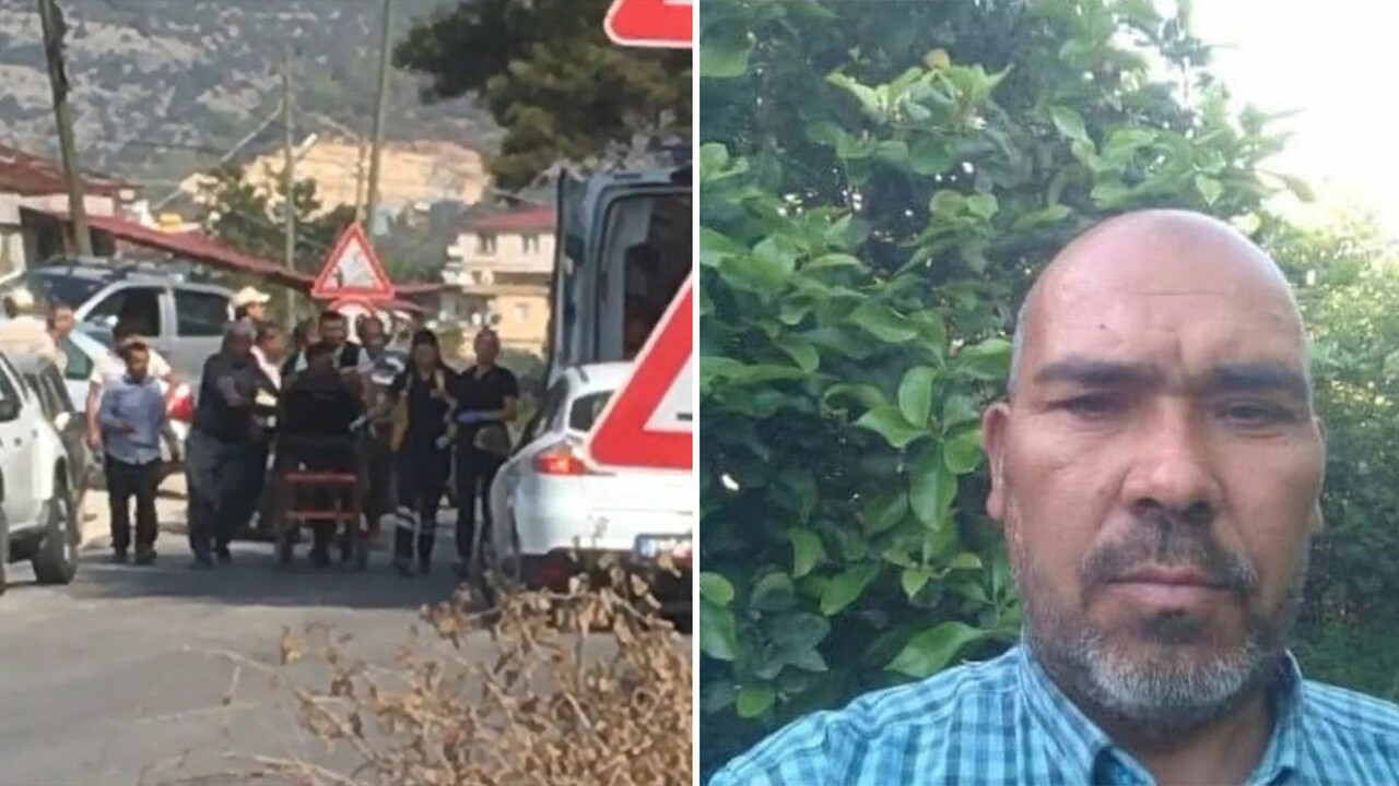 Dehşet veren ölüm: Arı saldırısına uğradı Dehşet veren ölüm: Arı saldırısına uğradı