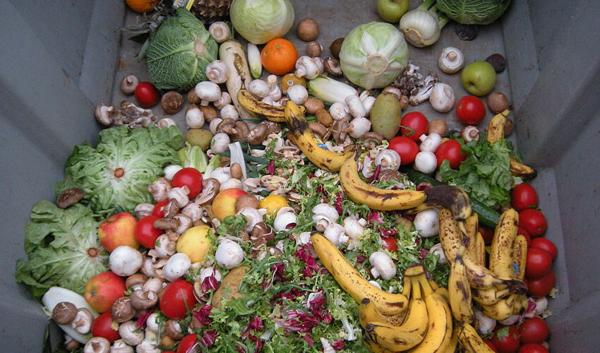 Gıda israfı ciddi boyuta ulaştı! Türkiye'de çöpe atılan ekmekler endişe veriyor