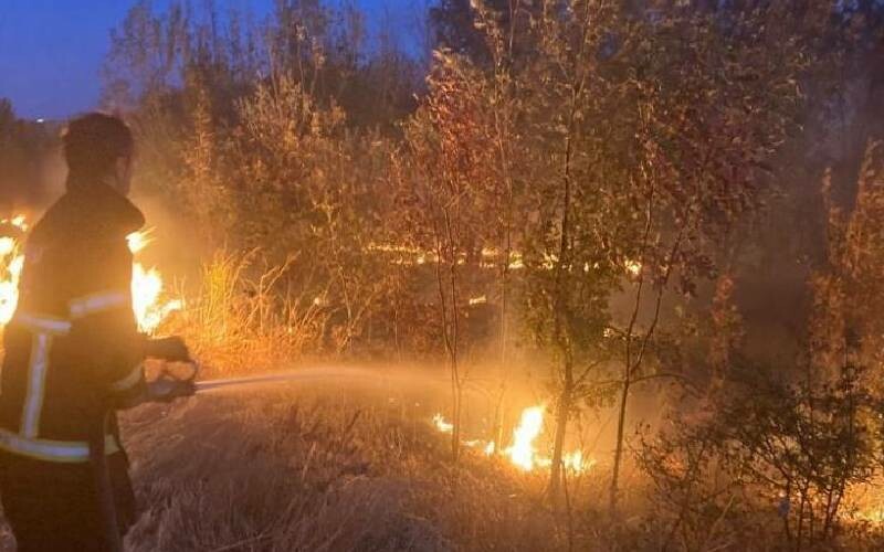 TEM Otoluyo’nda yangın paniği: Sürücüler zor anlar yaşadı TEM Otoluyo’nda yangın paniği: Sürücüler zor anlar yaşadı