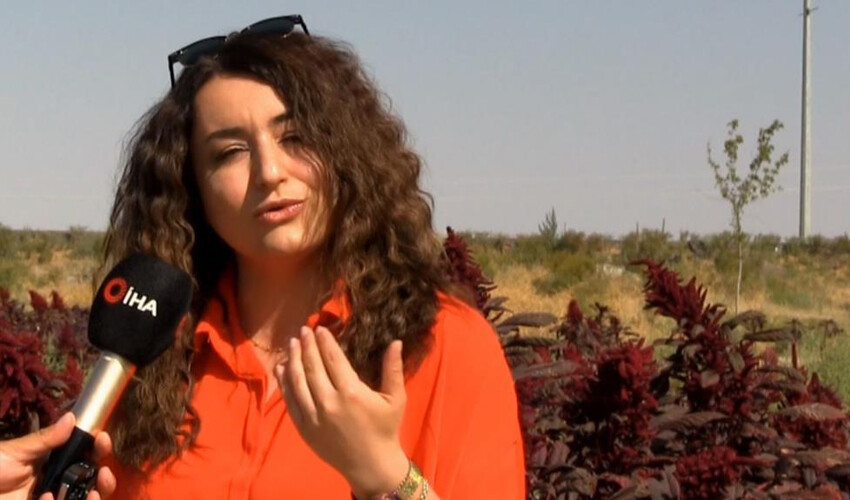 Türkiye'de 2 yerde yetiştiriliyor! Kozmetik sanayisinde kullanılıyor: Yüksek gelir elde ediliyor Türkiye'de 2 yerde yetiştiriliyor! Kozmetik sanayisinde kullanılıyor: Yüksek gelir elde ediliyor