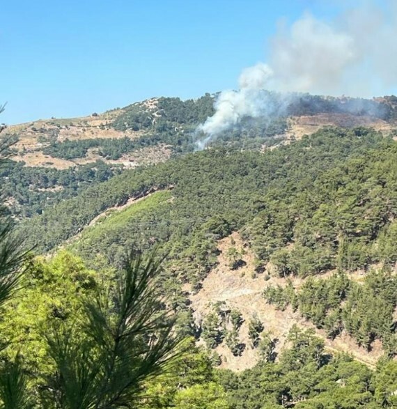 İzmir'de yangın! Havadan ve karadan müdahale edildi İzmir- yangın- Kavacık Mahallesi