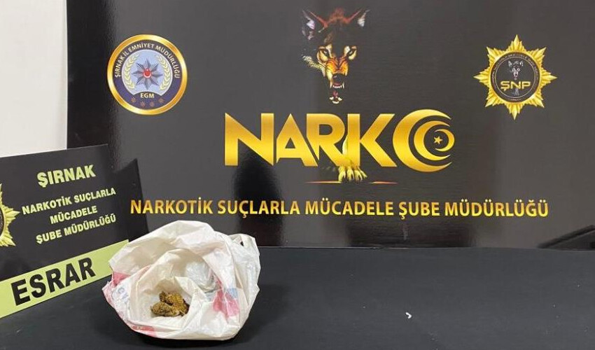 Şırnak'ta kaçakçılara operasyon: 61 gözaltı Şırnak'ta kaçakçılara operasyon: 61 gözaltı