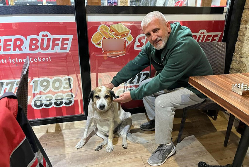 Önce Pitbull sonra sahibi saldırdı! Avcılar'da dehşet dolu anlar Önce Pitbull sonra sahibi saldırdı! Avcılar'da dehşet dolu anlar
