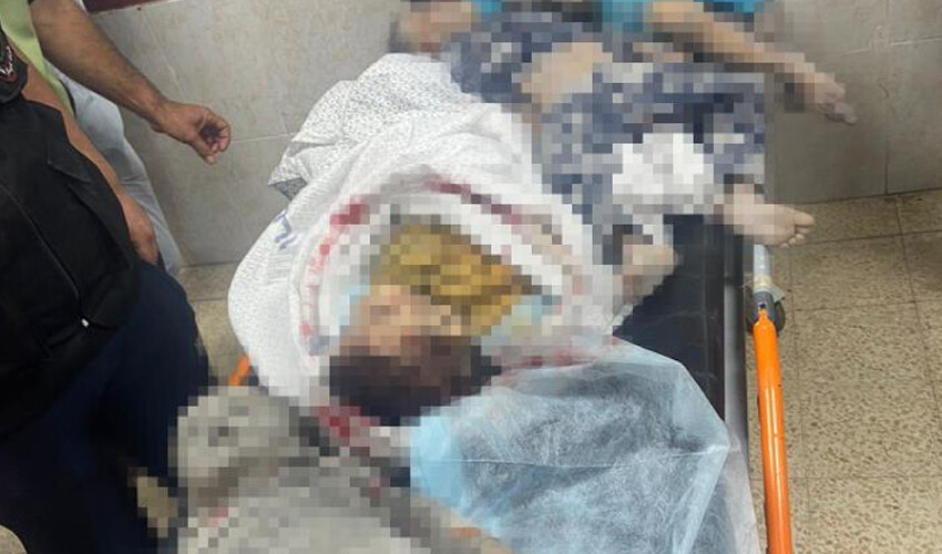 Filistinli doktorun acı isyanı! 