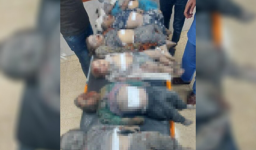 Filistinli doktorun acı isyanı! 