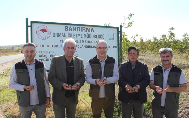 <p>Yeşilçomlu ve Mahmubeler mahallelerinde yaşayan vatandaşlar köylerine gelir getirici türlerle yapılan ağaçlandırmalardan duydukları memnuniyeti Balıkesir Orman Bölge Müdürü Kemal Kayıran, Bandırma İşletme Müdürü Faruk Tuna Yüksek ve ağaçlandırma sürecinde büyük emeği geçen Şube Müdürü Halil Karademir'e bildirdiler. </p>
