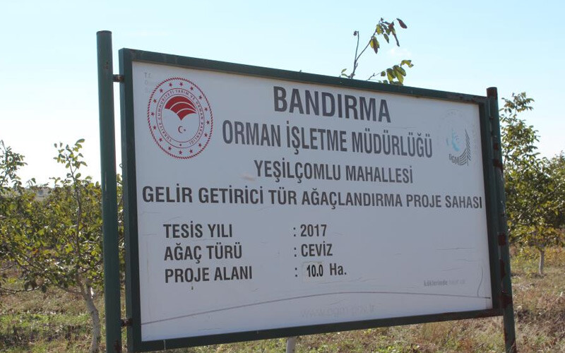 <p>Bandırma ilçesindeki diğer mahallelerdeki ceviz ağaçlandırmalarıyla toplam Bandırma ilçesindeki mahalleler yılda 16 milyon Türk Lirası gelir elde etti. </p>