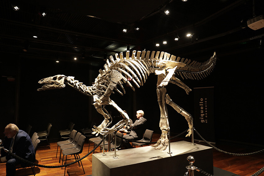 150 milyon yıllık dinozor iskeleti 930 bin avroya satıldı