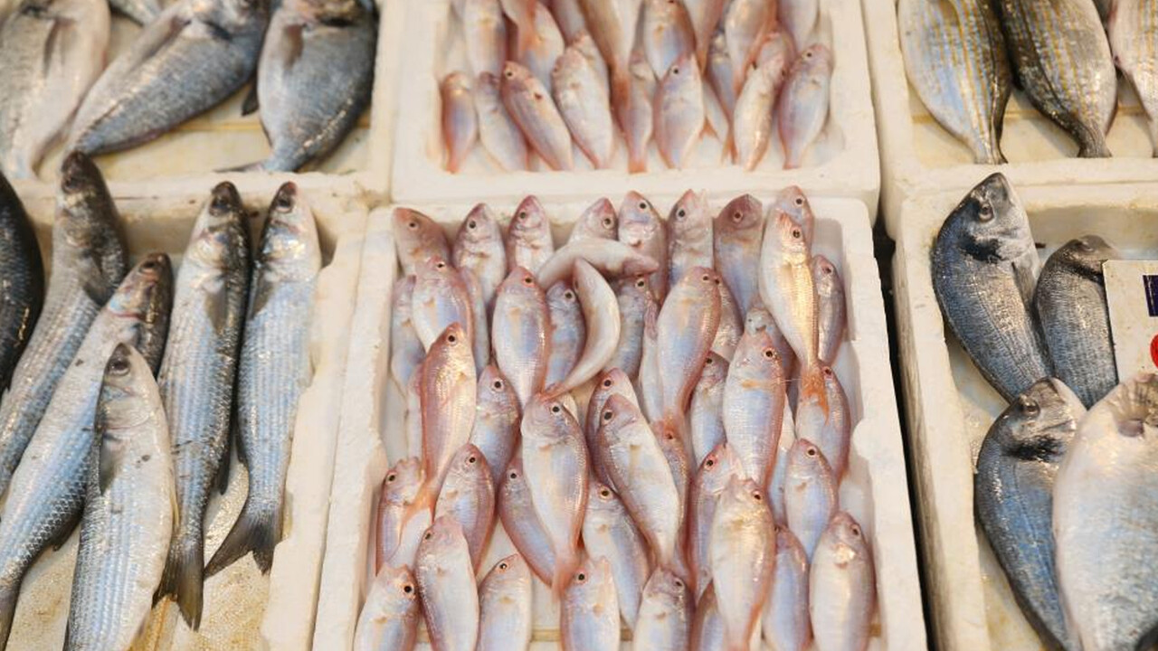 Vatandaşlar balık pazarına akın etti! Tezgahlar doldu taştı: Fiyatlar en dibi gördü