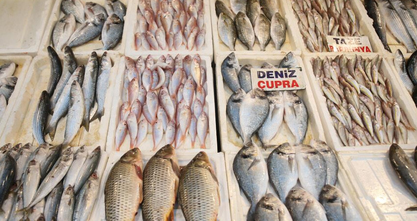 Akdeniz tezgahlarında balık çeşitleri arttı, fiyatlar düştü! Her keseye uygun Akdeniz tezgahlarında balık çeşitleri arttı, fiyatlar düştü! Her keseye uygun