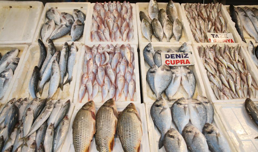 Vatandaşlar balık pazarına akın etti! Tezgahlar doldu taştı: Fiyatlar en dibi gördü