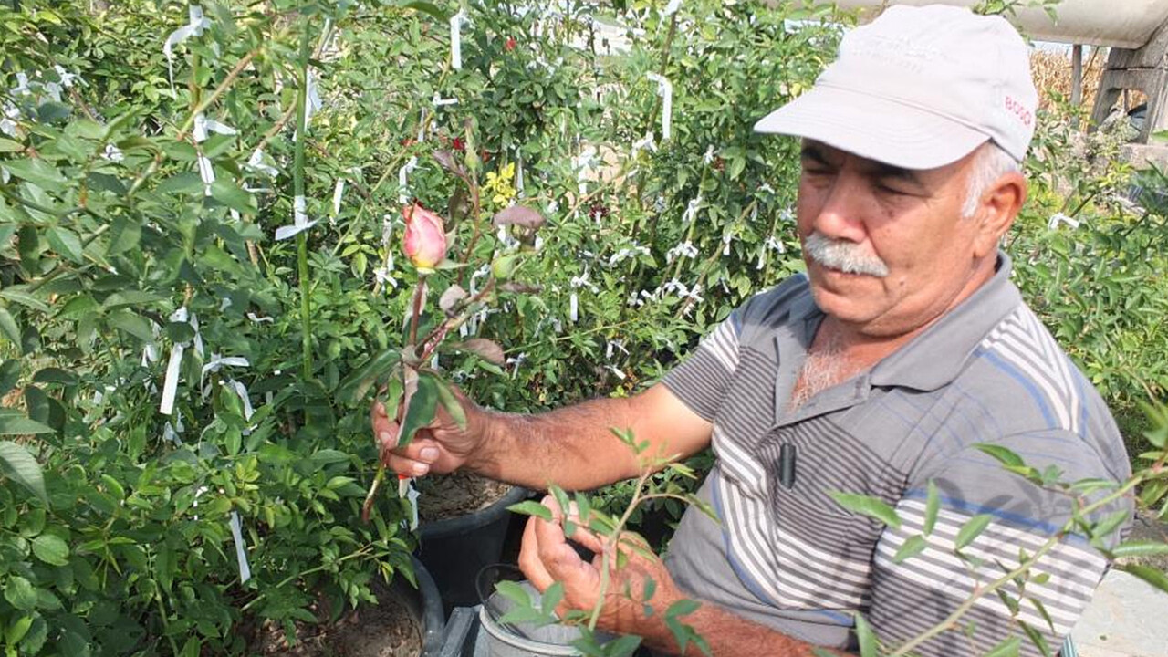 Uğraş olsun diye başladı, örnek üretici oldu! Kurduğu yeşil tesis uğrak nokta haline geldi Uğraş olsun diye başladı, örnek üretici oldu! Kurduğu yeşil tesis uğrak nokta haline geldi