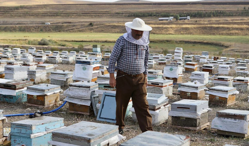 Kanser hastası oğlu bal ile şifa bulan baba arıcılık yapmaya başladı