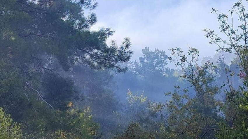 Antalya'da orman yangını! 2 dönümlük ormanlık alan zarar gördü yangın- Alanya