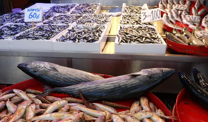 Havaların ısınması balık avını olumsuz etkiledi: Hamsi fiyatları tekrar yükseldi