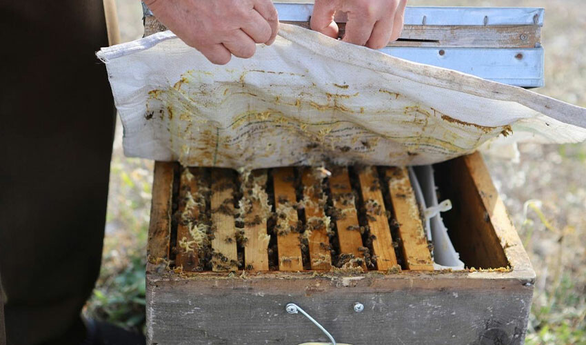 Kanser hastası oğlu bal ile şifa bulan baba arıcılık yapmaya başladı