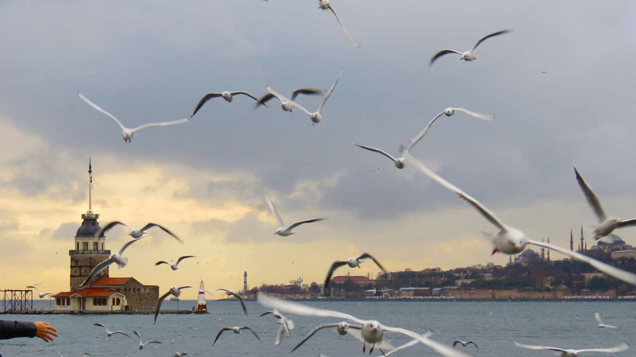 İstanbullular dikkat! Pencereleri kapatın: İğrenç kokunun nedeni belli oldu: Azot dioksit 