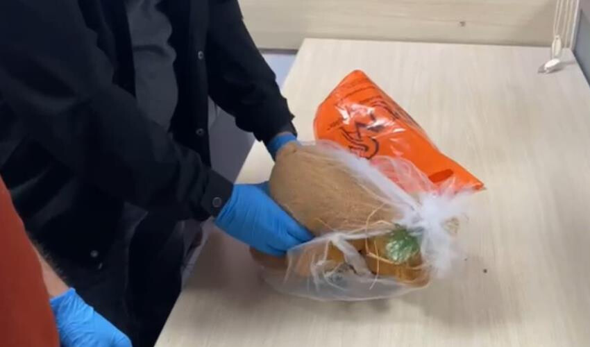 Kız arkadaşa zehirli hediye! Pelüş oyuncaktan uyuşturucu çıktı